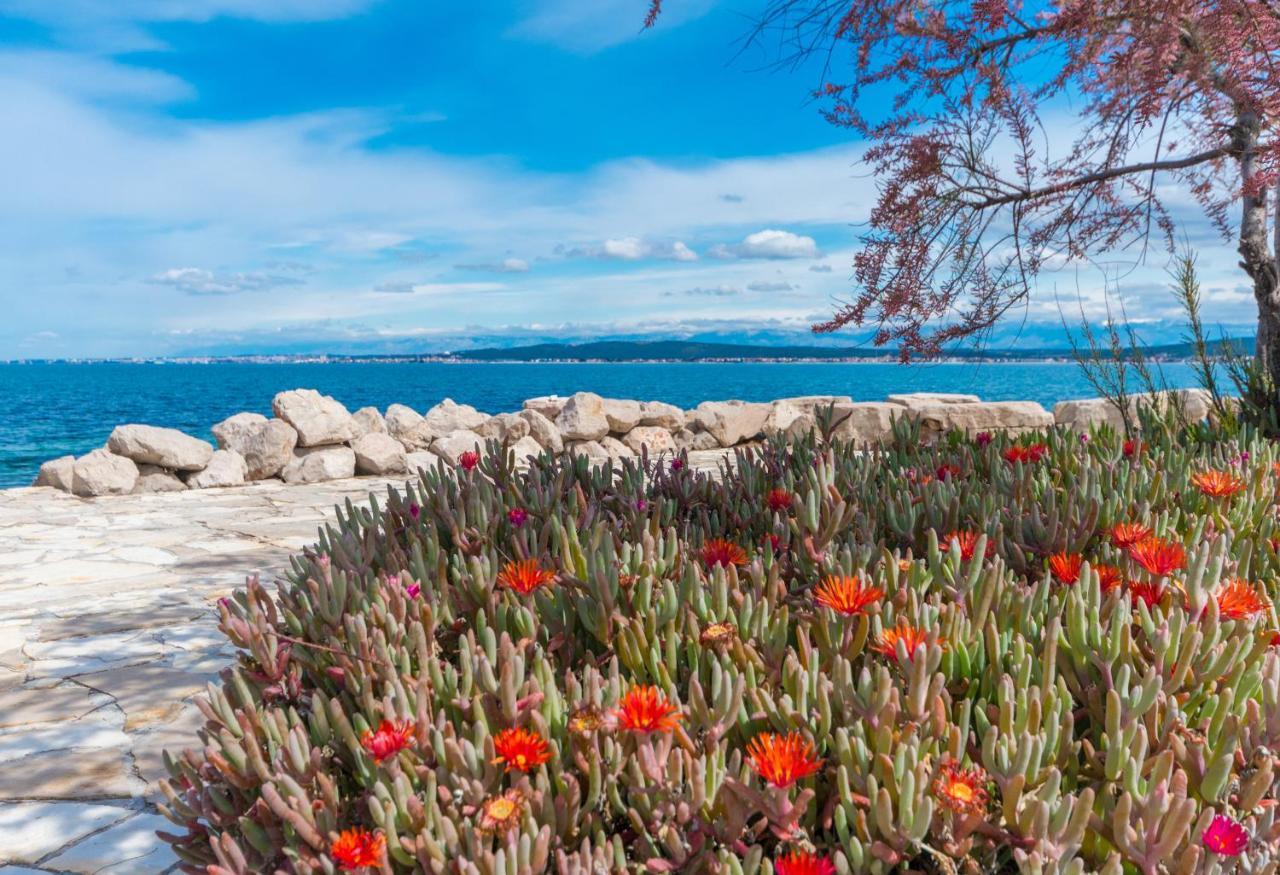 Villa Banjka Εξωτερικό φωτογραφία